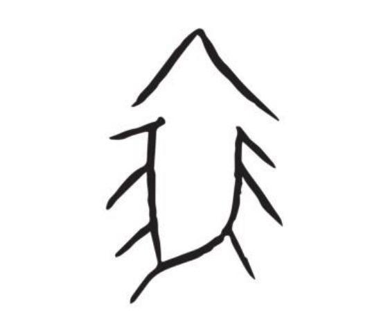 古人怎么做三九寒冬这道题 火衣食御寒智慧