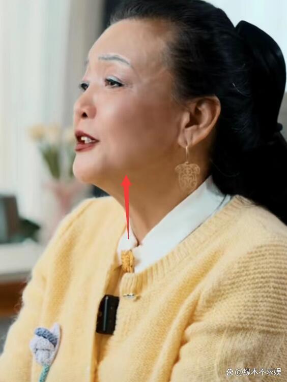 金星锐评张兰：找不到好儿媳怪别人，给她脸了，真烦！