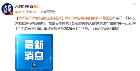 最后两只旅日大熊猫明年一月回国 最终参观日确定
