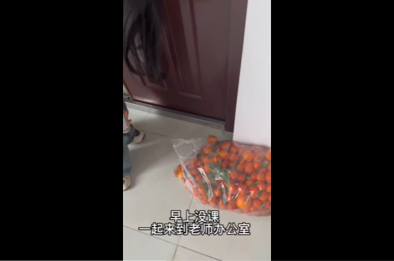 为全班带的50斤砂糖橘找到了