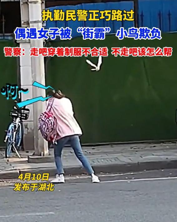 湖北一女子遭“街霸”小鸟欺负 躲到交警旁边后，小鸟就不追了