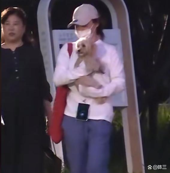 曝袁姗姗违规停车 遛狗温情难掩违章事实
