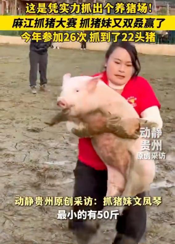 女子参加26次抓猪大赛抓到22头猪 凭实力抓出养猪场