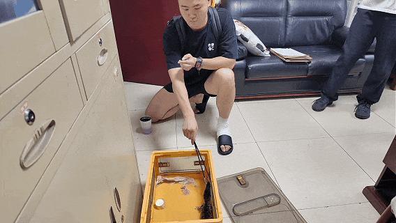 前员工为报复泄愤偷走老板饲养鳄鱼，双双被处罚 鳄鱼暂住派出所