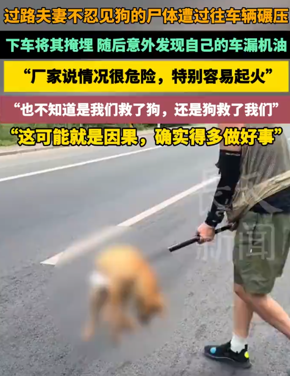 夫妇埋葬完被撞的狗发现车漏油 善举意外救己
