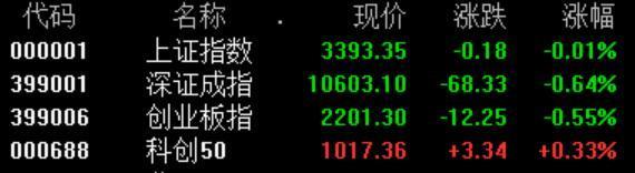 全市场4400家个股飘绿 A股主要指数震荡走低