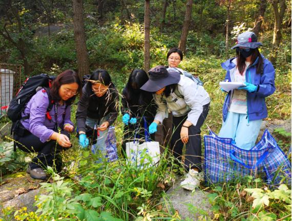 国家植物园确认灰绒麝凤蝶有宝宝了 珍稀物种成功定居