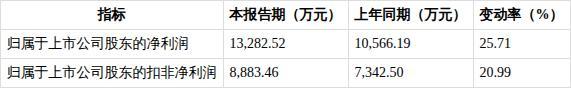 有研硅上半年净利润同比增25.71% 营收稳步增长