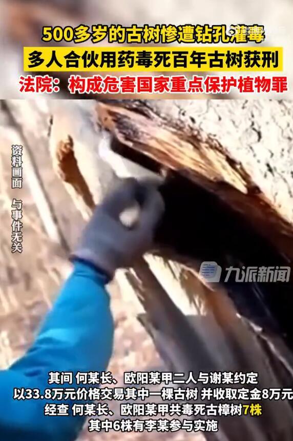 多人合伙毒死古樟树获刑