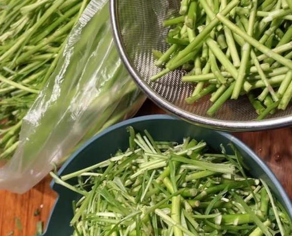 春天河边野草变抢手菜，营养赛过肉，10元一斤你吃过没？
