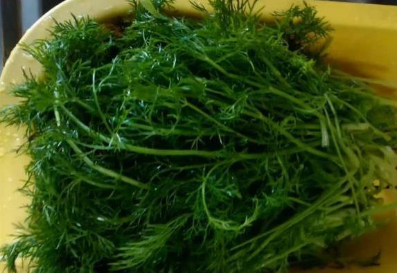 早餐不想买油条？10分钟学会茴香小油条，成本低到不敢信！