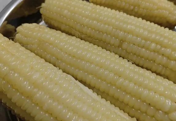 甜玉米清甜低热量，糯玉米却藏高热量？3个真相让你吃对