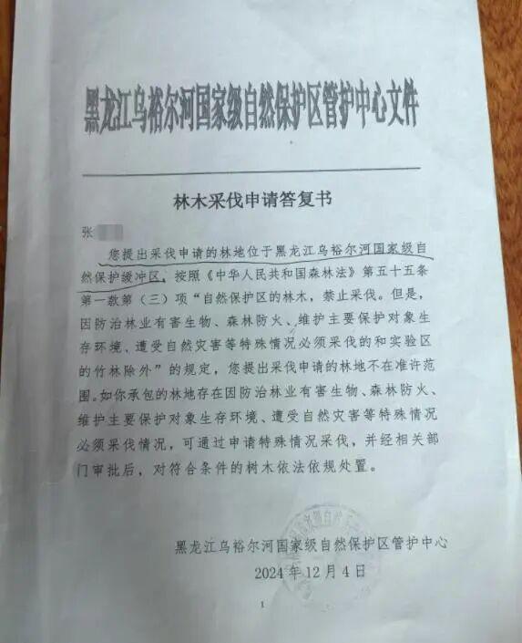 农户响应号召种树 成材后被禁止采伐 二十余载心血付诸东流