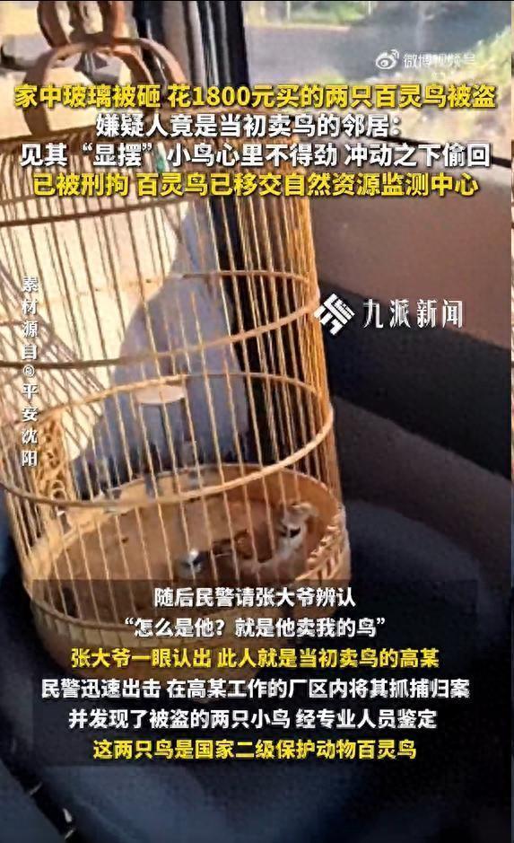 男子卖鸟后偷走藏匿被刑拘