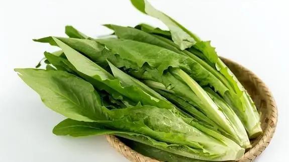 莴苣是莴笋吗？莴笋叶是油麦菜吗？区别挺大，别再弄错了，涨知识
