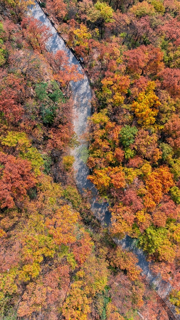 “瞰见秦岭 诗画终南”媒体景区行活动 邂逅南五台秋韵