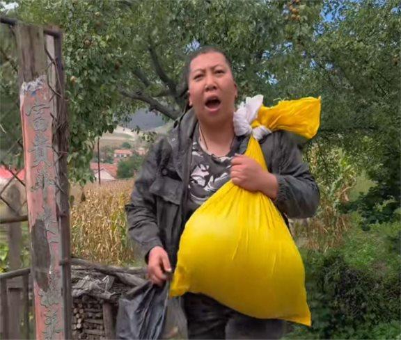 东北雨姐卖红薯粉丝被质疑成分 网红诚信危机再起