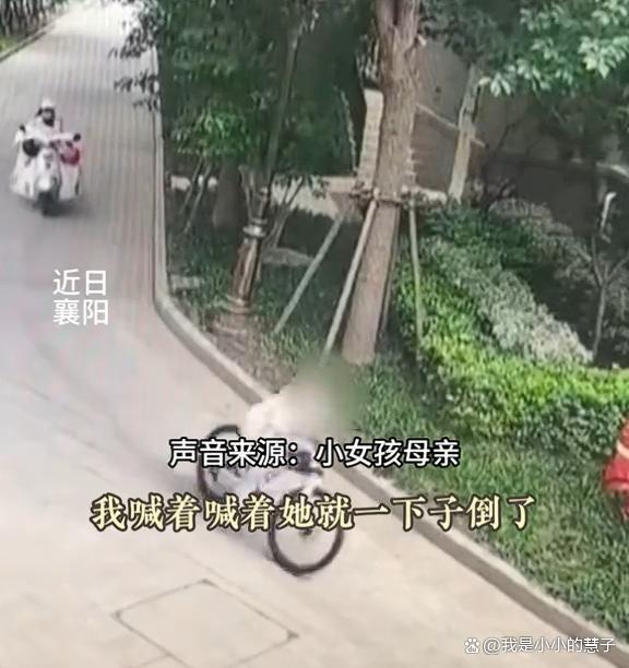 6岁女童弯道骑车逆行撞车索赔 责任之争引热议