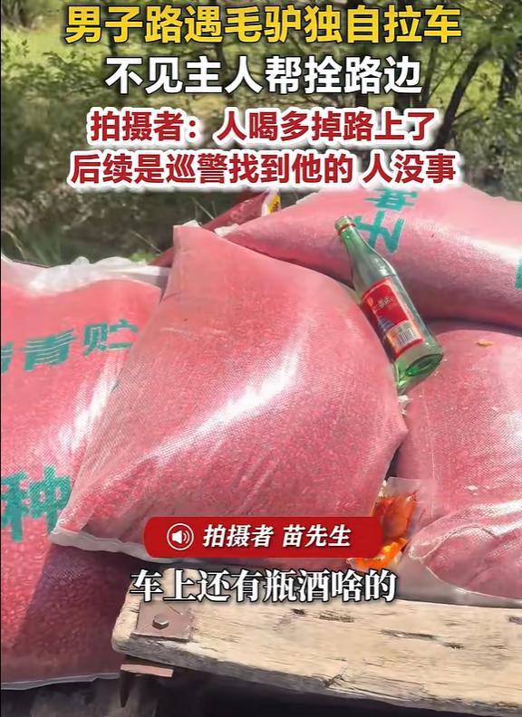 男子在国道遇毛驴独自拉车 醉汉掉车引关注