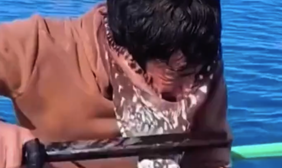 惊险!菲律宾一男子被章鱼吸脸,挣扎近一分钟终脱身