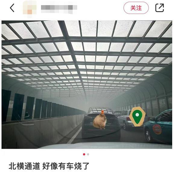 上海一法拉利发生自燃