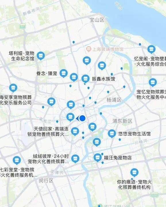 上海悄然兴起宠物殡葬服务 市场需求扩大