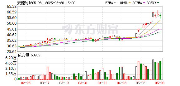 安德利：终止公司2024年度以简易程序向特定对象发行A股股票事项