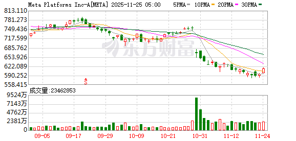 Meta Platforms据悉正考虑斥资数十亿美元购买谷歌的TPU