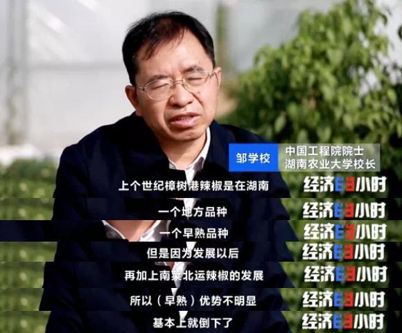辣椒一斤卖300元？！你吃过吗？