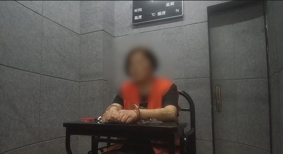 兩女子輪流扮孕婦碰瓷多車被刑拘 花樣百出終難逃法網(wǎng)