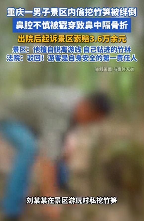 男子偷挖笋受伤反告景区被法院驳回 自身过错导致