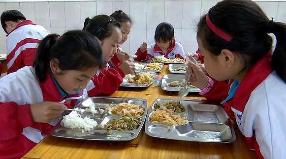 中小学生不愿吃学校营养餐，怎么办