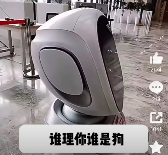 第一次见机器人拌嘴的