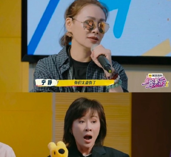 宁静吐槽刘晓庆刘嘉玲太虚伪