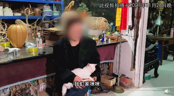 新一轮争议！群演称猫被电死 《当家主母》剧组报案