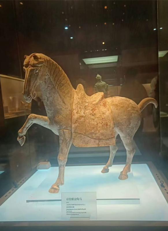 洛阳博物馆被曝一唐代陶马倒下断裂