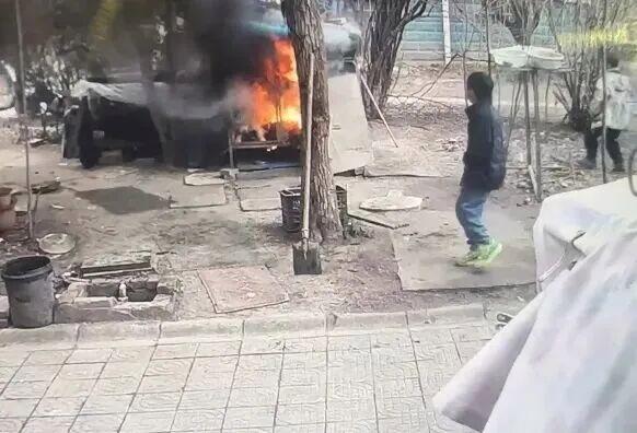 男孩玩火烧死宠物狗 烟花引燃悲剧引发热议