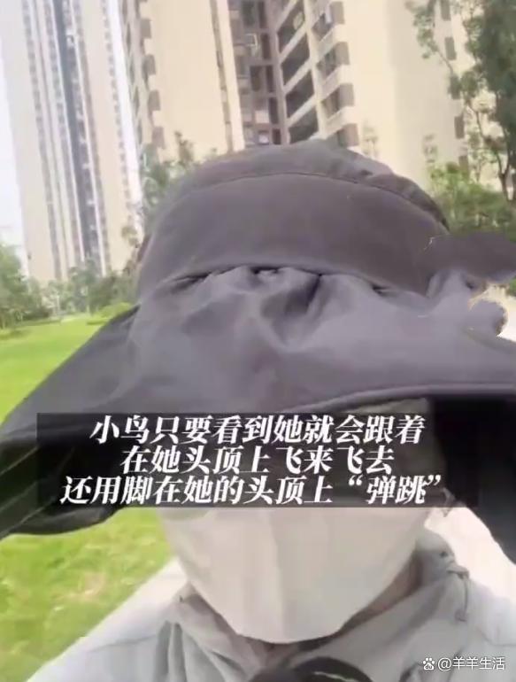 女子连续半个月被鸟攻击 不管换什么造型都会被攻击