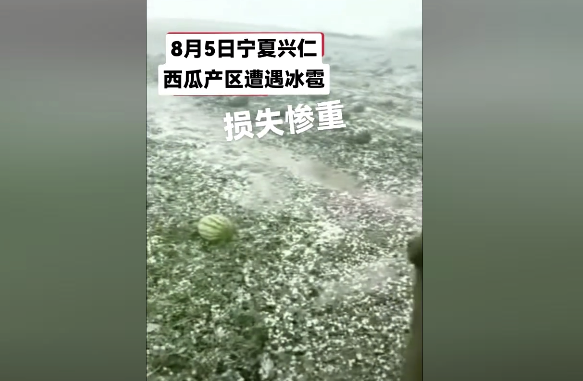 宁夏甘肃硒砂产区遭受冰雹袭击损失惨重