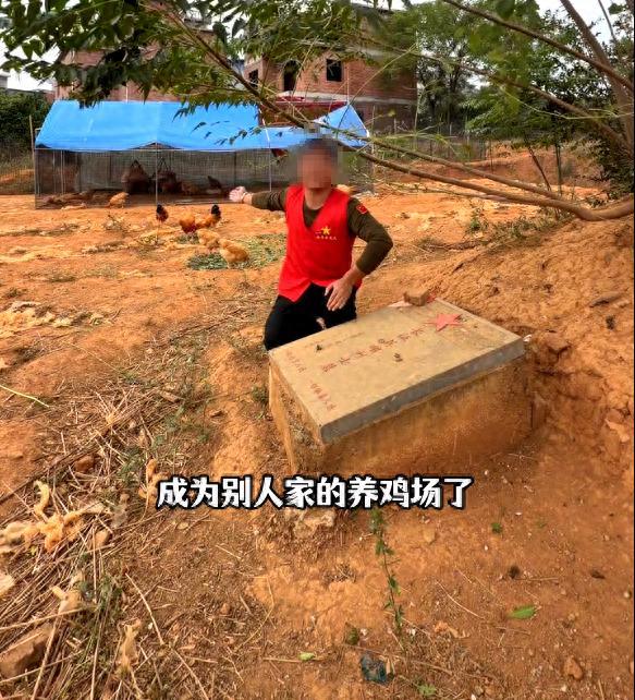 烈士墓地成养鸡场？当地回应 已拆除并整改到位