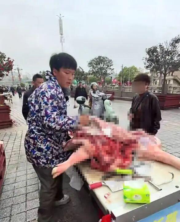 养6个弟妹又有7弟小伙妹妹发声 家庭重担下的坚韧选择