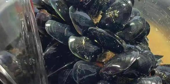 海虹10元一斤真便宜，鲜美补身效果好，你家餐桌缺了啥？