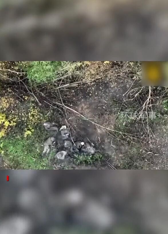 俄军一战斗小组遭乌国民警卫队无人机炸残 俄军士兵刚起身第二枚榴弹扔出