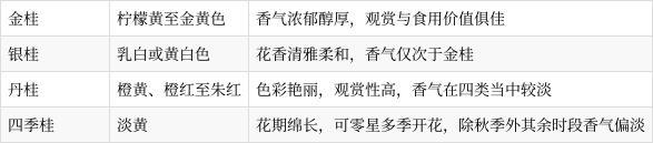 浙江的赏桂线路天花板 三条经典路线推荐