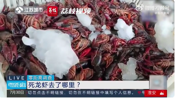 成吨死龙虾疑似被做成虾尾出售 记者暗访追踪调查