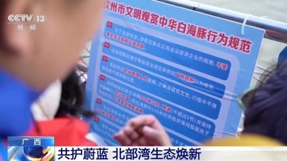 從潿洲島到三娘灣 探訪廣西北部灣生態(tài)守護(hù)之路
