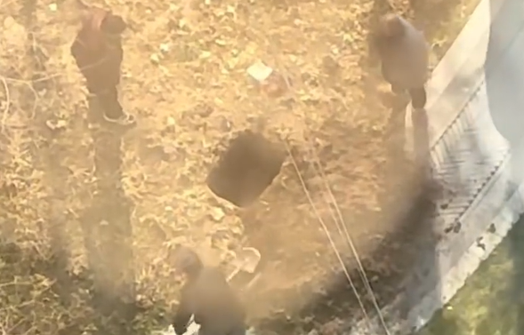 绿化带埋骨灰盒当地部门介入已移走