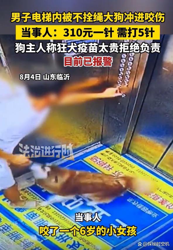 男子被狗咬伤狗主人嫌疫苗贵 不拴绳犬只惹祸