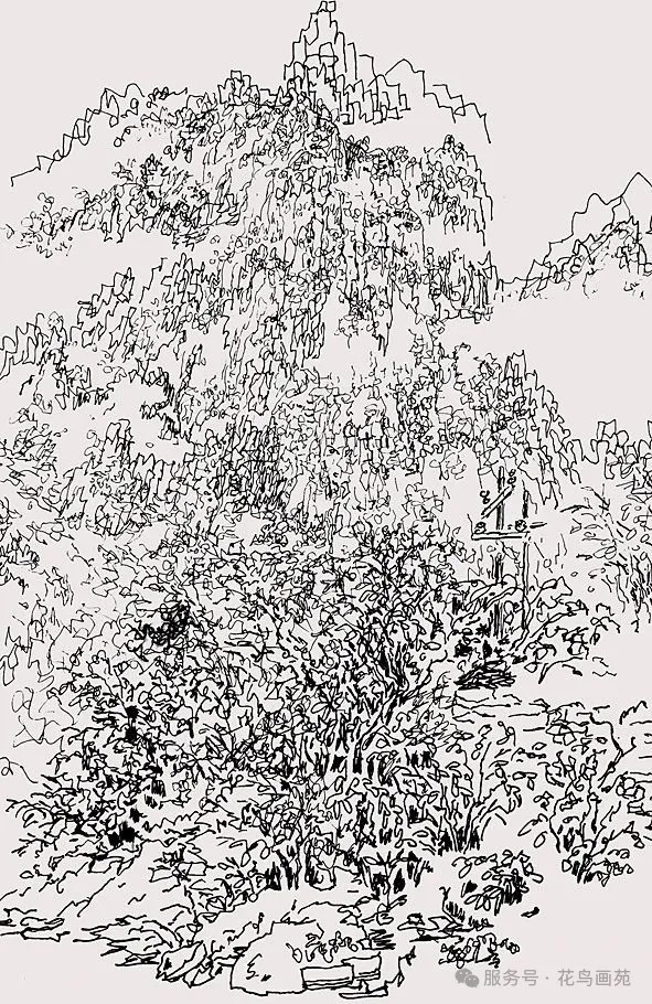 20251112095347243284.jpg 17.jpg