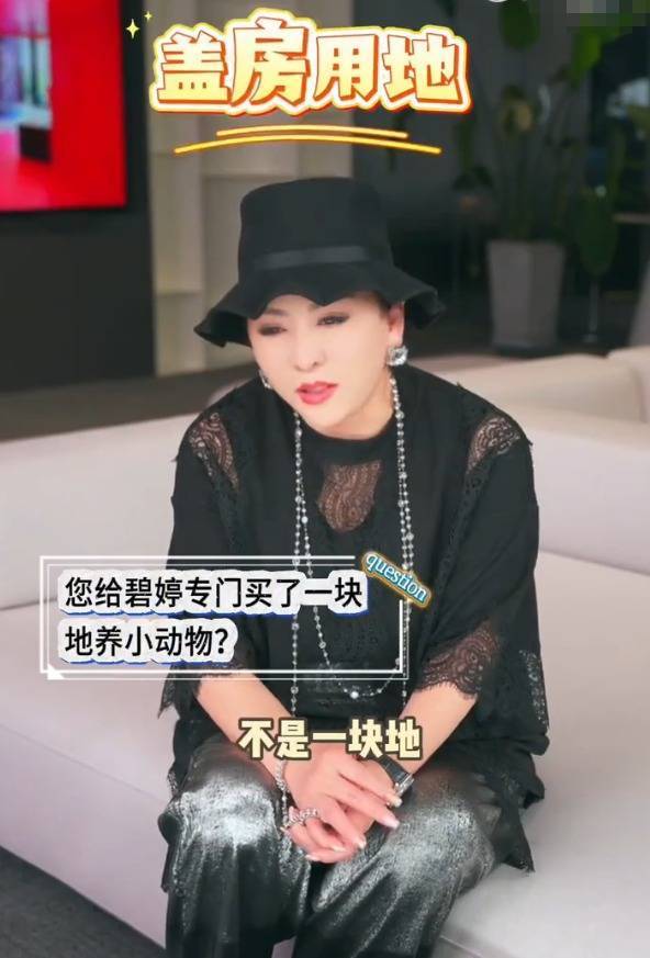 向太回应给郭碧婷买地：希望天下的婆婆都爱媳妇